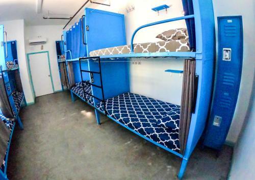 California Dreams Hostel