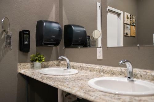 California Dreams Hostel