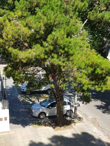Apartamento San Bernardo Del Tuyu II