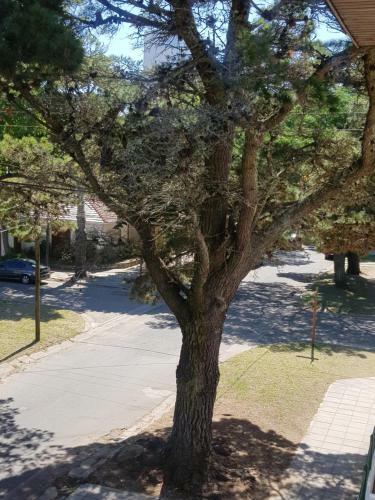Apartamento San Bernardo Del Tuyu II