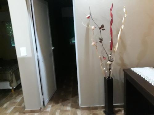 Apartamento Lo De Lio Y Titi