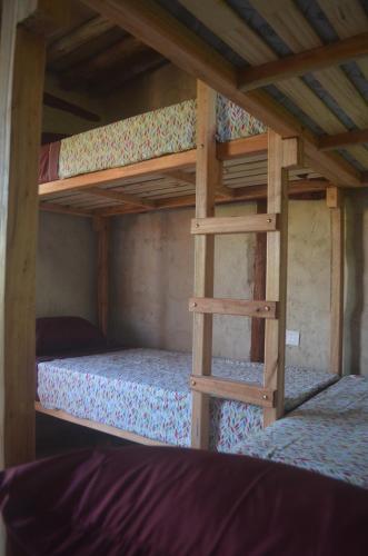 Eco-hostal Vegetariano Conciencia Del Tuy�