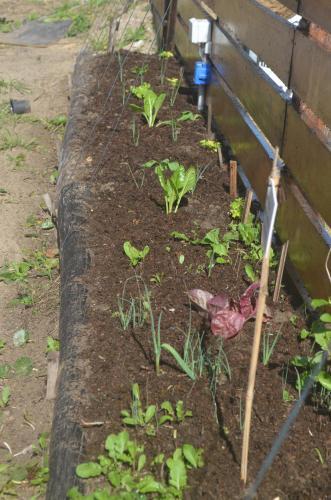 Eco-hostal Vegetariano Conciencia Del Tuy�