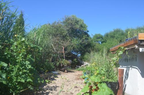 Eco-hostal Vegetariano Conciencia Del Tuy�