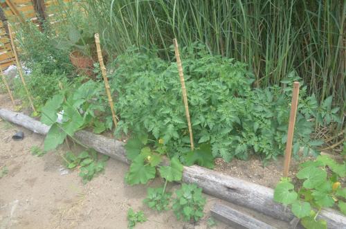 Eco-hostal Vegetariano Conciencia Del Tuy�