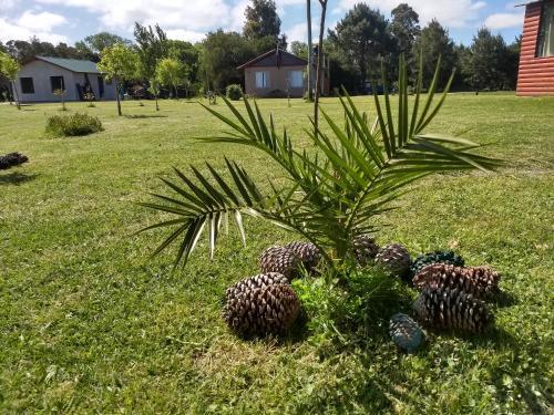 Apartamento Complejo El Para�so
