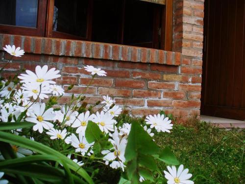 Apartamento Casitas Sancle