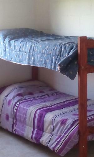 Hostel Sanjofiesta