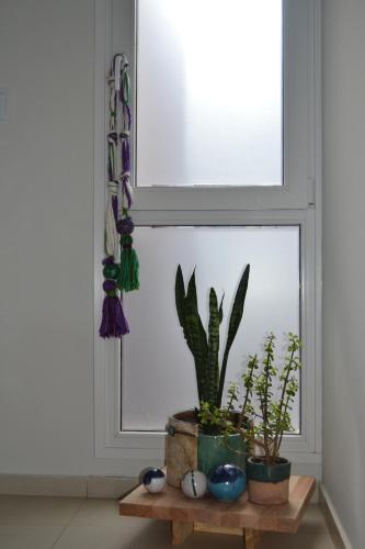 Apartamento Complejo Miro