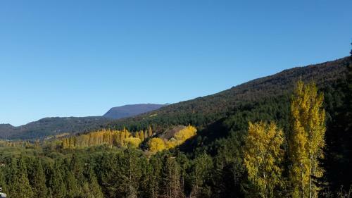 Caba�a Del �rbol
