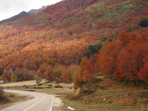 Estadia Del Bosque