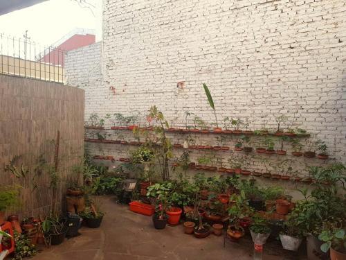 Casa Algarroble
