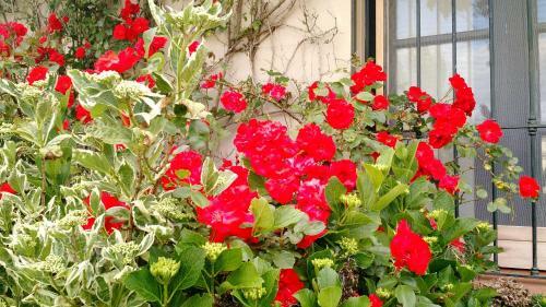 Bed & Breakfast Reverdecer