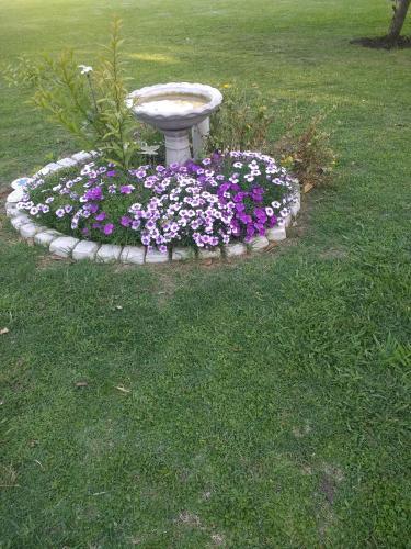 Apartamento Quinta �ancai