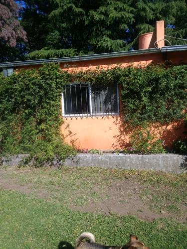Apartamento Quinta �ancai