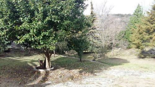 Refugio De Piedra