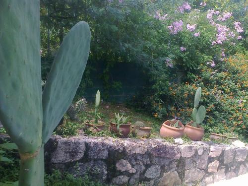 Piedras Lisas
