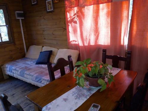 Albergue Caba�a Mandala
