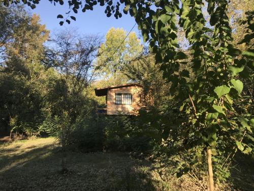 Bed & Breakfast Los Little Monkeys