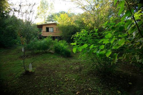 Bed & Breakfast Los Little Monkeys