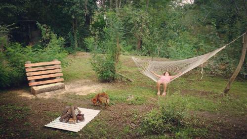 Bed & Breakfast Los Little Monkeys