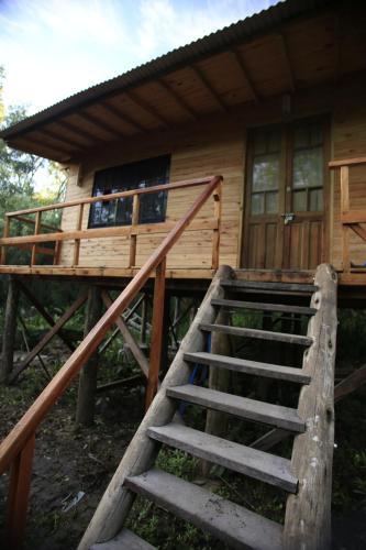 Bed & Breakfast Los Little Monkeys