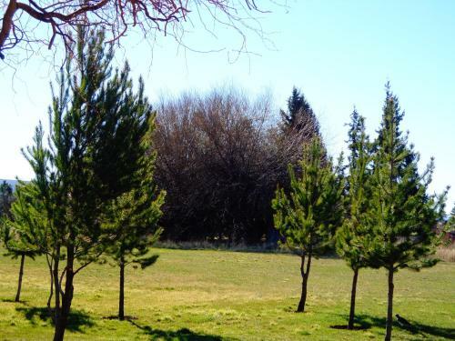 Lodge Caba�as Atrapasue�os