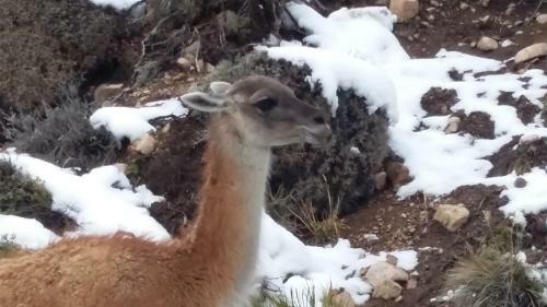 Lodge Caba�as Atrapasue�os