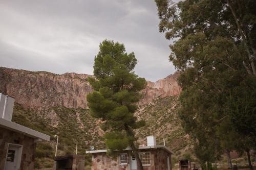 Lodge Bosque Divino Caba�as & Suites
