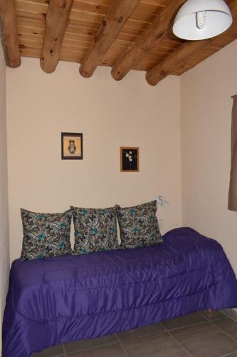 Hotel Caba�as Econature