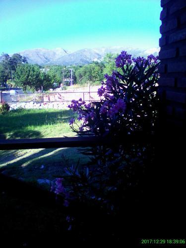 Los Cerros