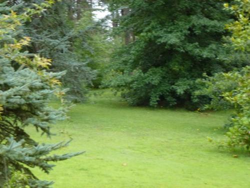 Lodge Caba�a Del Parque