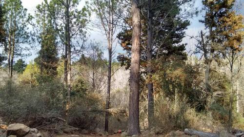 Lodge Aldea Aventur