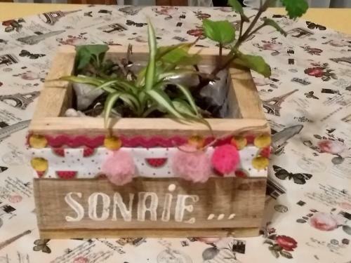 Posada De Los Pajaros