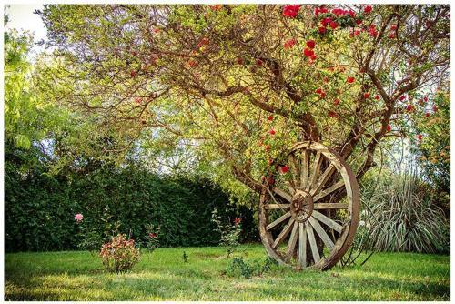 Agroturismo Alpiedelchampaqui