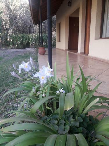 La Resolana Posada