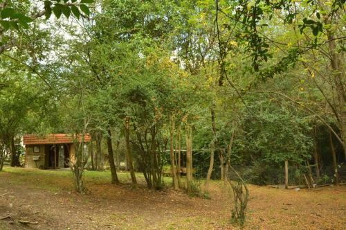 Casa En El Bosque