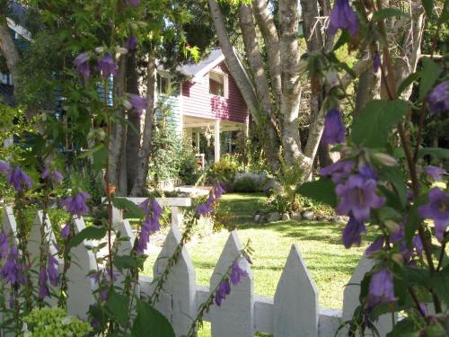 Bed & Breakfast Dodo House