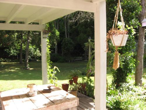 Bed & Breakfast Dodo House