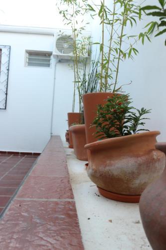 Hotel Eclat Suites