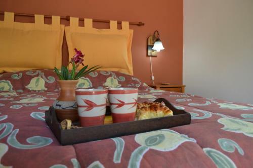 Lodge Complejo Cohue
