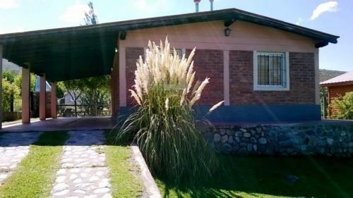 Cabanas La Cita