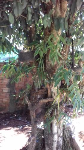 Lodge Caba�a Nayla Y Yaya