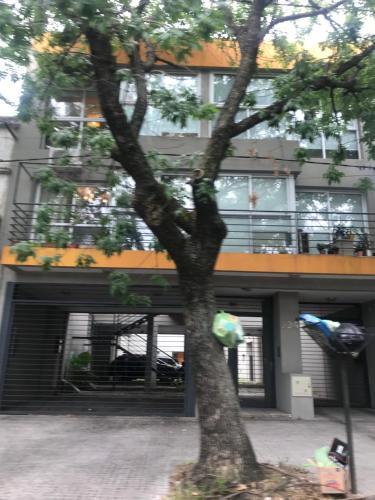 Apartamento Departamento Verde Y Cerca II
