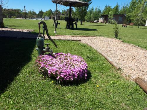 Apartamento Alma Luna Caba�as De Campo