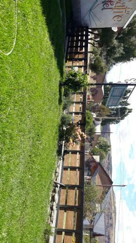 Bed & Breakfast Viejo Catre