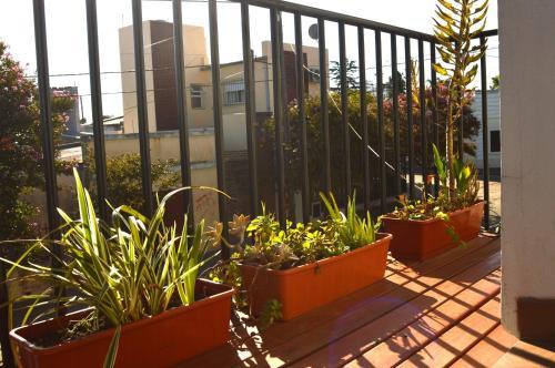 Apartamento El Balc�n