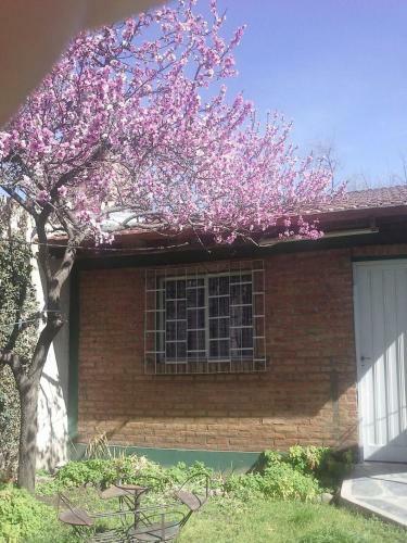 Apartamento Departamento En Tierra Santa