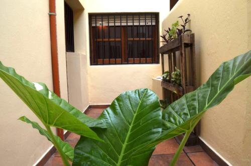 Apartamento Dpto C�ntrico - Drastuh Alojamientos