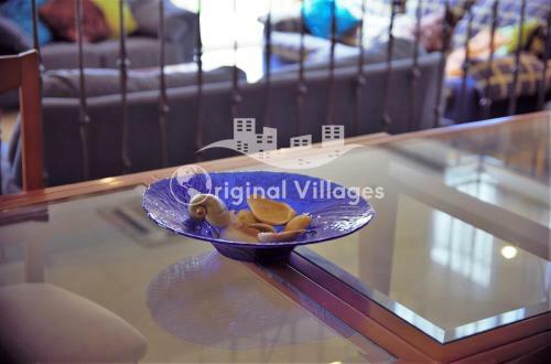 V5 Villa Aigle